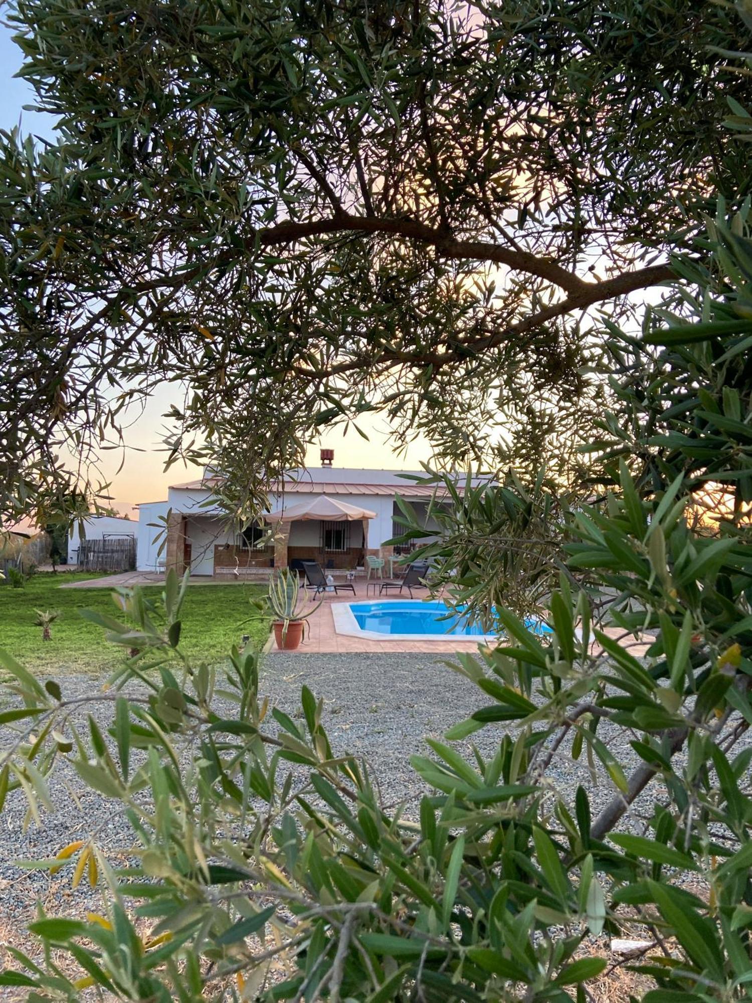 Hacienda Donaire Beas Apartment Exterior foto